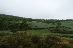 DSC02535