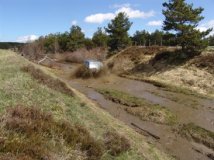 ONF_Lozere_5_8_Mai_2005_1024
