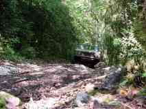 Onf_jura_mai_2003_1543