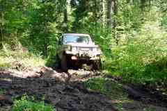 Onf_jura_mai_2003_1537
