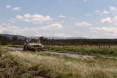 ONF_Lozere_5_8_Mai_2005_1016