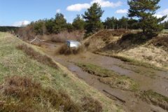 ONF_Lozere_5_8_Mai_2005_1024