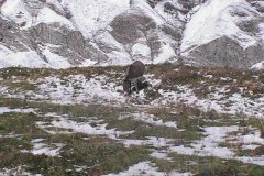 les-alpes-3
