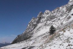les-alpes-9