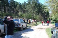 DSC_0341-
