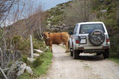 sortie-4x4-Lozere-73