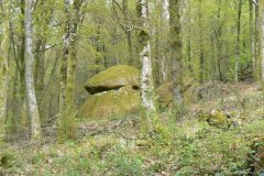 P1030850-MORVAN_AVRIL_2011