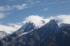 MG_2866