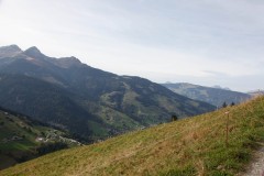 MG_2895