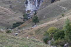 MG_2918