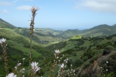 P1000606
