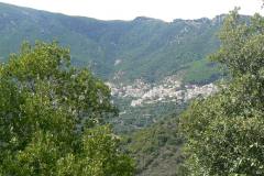 P1120377