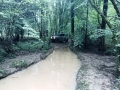 IMG_20250607_120153_645