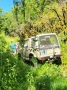 IMG-20250708-WA0004